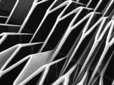 3dthermotextilebw